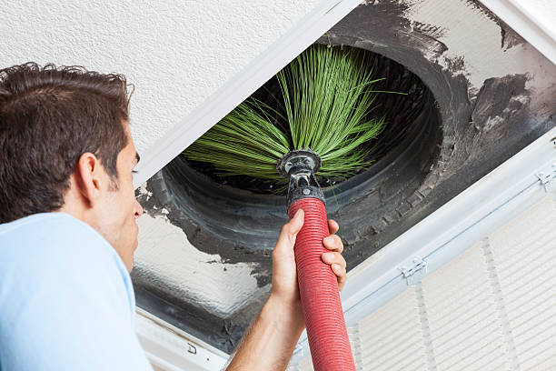 Best Air Duct Cleaning Cost  in Boutte, LA